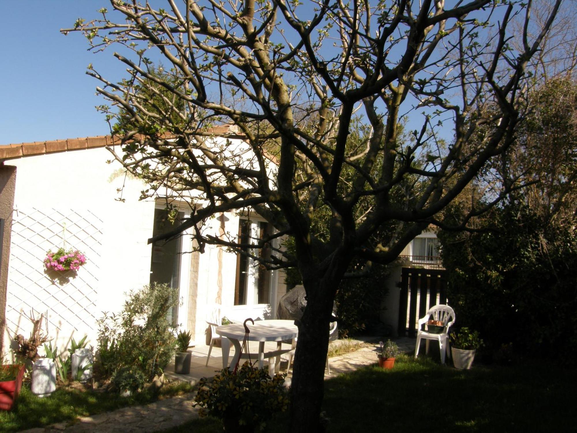 Brig'Gîte LʼIsle-sur-la-Sorgue Exterior foto